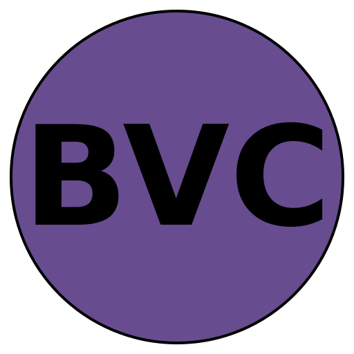 BrightVision Careers